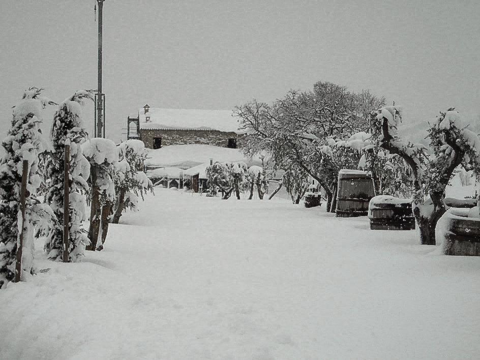 Agriturismo Ca' Maggio Sasso Feltrio 객실 사진